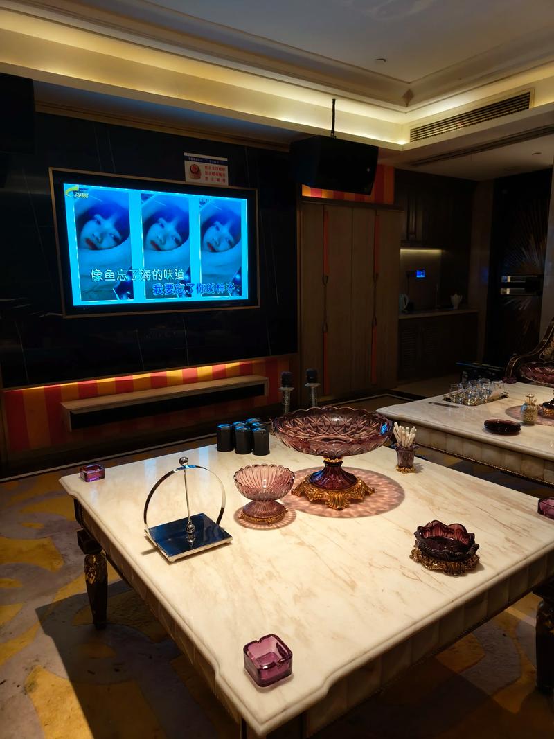 广州商务ktv及商务ktv什么意思解析-越秀区ktv预订